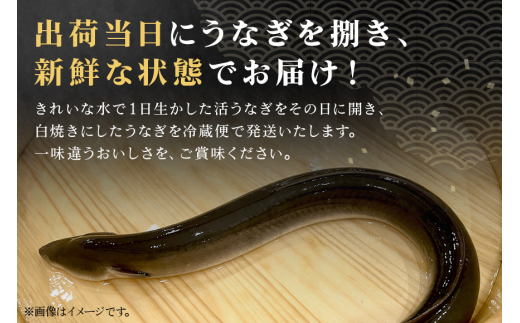増田川魚店うなぎ白焼＜特上5本＞ うなぎ 白焼き 特上 5本 愛知県三河産 国産 ウナギ 鰻 しらやき タレ 山椒付き 炭火焼き 冷蔵便 贈答用 ギフト 家庭用 土用の丑 茨城県 潮来市 (A07-001)