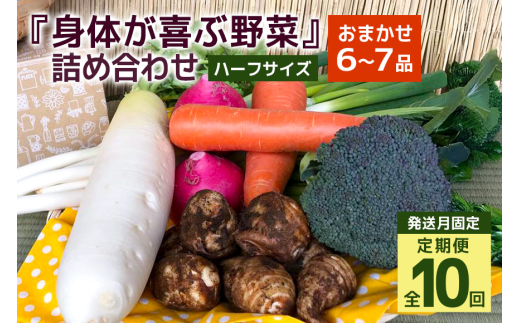 ＜発送月固定定期便＞『身体が喜ぶ野菜』詰め合わせ ( おまかせ ハーフサイズ) 定期便 野菜 詰合せ 全10回 詰め合わせセット お任せ 野菜定期便 季節の野菜 セット 有機栽培 EM農法 産地直送 新鮮 野菜ボックス ギフト 家庭用 茨城県 潮来市 (A03-022)