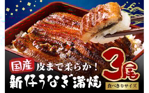 やわらか国内産 うなぎ蒲焼 食べ切りサイズ! 100〜120g 3尾 計300g以上 ふっくら蒲焼き ブランド鰻使用 秘伝のタレ・山椒付き 湯煎で簡単調理 うな丼 ちらし寿司 贈答用 ギフト 冷蔵配送 国産 茨城県 潮来市 (A23-009)
