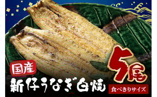 食べ切りサイズ! 国内産 うなぎ 白焼 ( 酒蒸 ) 100〜120g 5尾 計500g以上 ふっくら 柔らか 鰻本来の旨味 ワサビ醤油 蒲焼のタレ 山椒付き 湯煎 簡単調理 贈答用 ギフト 冷蔵配送 国産 茨城県 潮来市 (A23-029)
