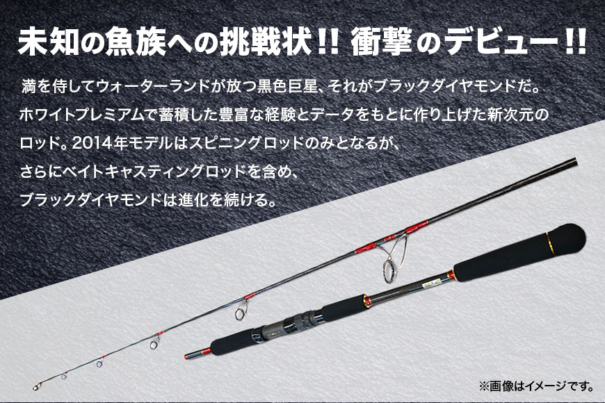 ウォーターランド ブラックダイヤモンド S785 村田基監修 (A29-004)