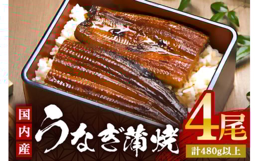 やわらか国内産 うなぎ蒲焼 満足サイズ! 120〜140g 4尾 計480g以上 ふっくら蒲焼き ブランド鰻使用 秘伝のタレ・山椒付き 湯煎で簡単調理 うな丼 ちらし寿司 贈答用 ギフト 冷蔵配送 国産 茨城県 潮来市 (A23-014)
