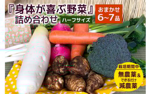 ＜ハーフサイズ＞ 『身体が喜ぶ野菜』詰め合わせ ( おまかせ ) 野菜 詰合せ 詰め合わせセット お任せ 季節の野菜 セット 栽培期間中農薬不使用 有機栽培 微生物農法 EM農法 露地栽培 産地直送 新鮮 野菜ボックス ギフト 家庭用 茨城県 潮来市 (A03-002)