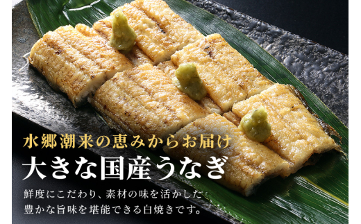 増田川魚店うなぎ白焼＜特上5本＞ うなぎ 白焼き 特上 5本 愛知県三河産 国産 ウナギ 鰻 しらやき タレ 山椒付き 炭火焼き 冷蔵便 贈答用 ギフト 家庭用 土用の丑 茨城県 潮来市 (A07-001)
