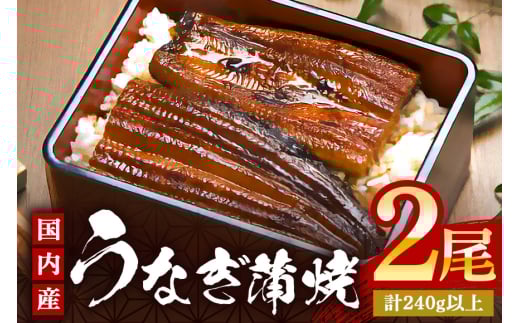 やわらか国内産 うなぎ蒲焼 満足サイズ! 120〜140g 2尾 計240g以上 ふっくら蒲焼き ブランド鰻使用 秘伝のタレ・山椒付き 湯煎で簡単調理 うな丼 ちらし寿司 贈答用 ギフト 冷蔵配送 国産 茨城県 潮来市 (A23-012)