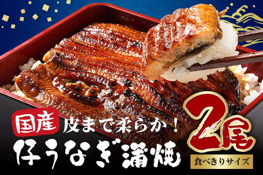 やわらか国内産 うなぎ蒲焼 食べ切りサイズ! 100〜120g 2尾 計200g以上 ふっくら蒲焼き ブランド鰻使用 秘伝のタレ・山椒付き 湯煎で簡単調理 うな丼 ちらし寿司 贈答用 ギフト 冷蔵配送 国産 茨城県 潮来市 (A23-008)