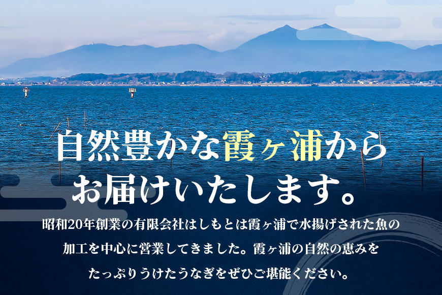 皮まで柔らか、とても大きな国産新仔うなぎ蒲焼(220〜250グラム)2尾セット