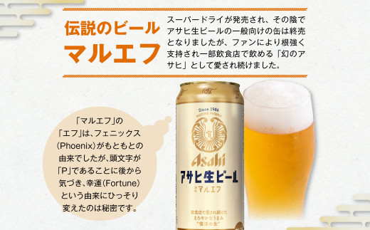 定期便【６か月】アサヒ生ビール（マルエフ）500ml×24本（1ケース）