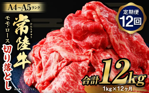 【定期便 12ヶ月】【常陸牛】切り落とし1kg