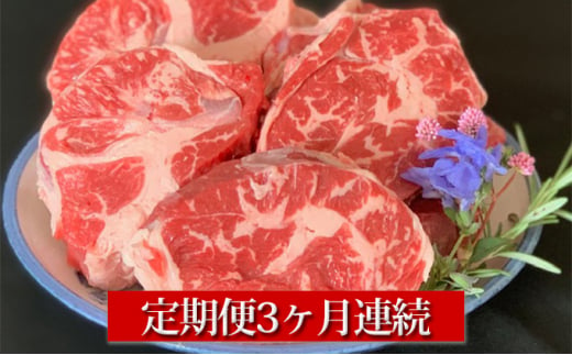 【定期便】【国産】牛スネ肉 500g×2 3ヶ月連続お届け