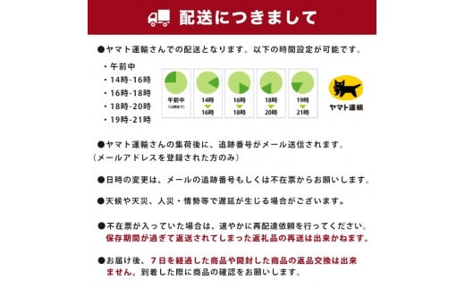 三ツ矢サイダー 500ml × 1ケース (24本)