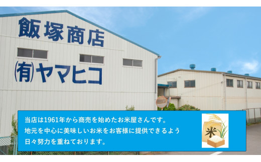 令和5年産茨城ミルキークイーン 5kg【お米・米・ミルキークイーン・5kg】