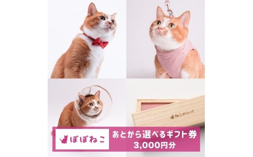 ぽぽねこギフト券（Eメールタイプ）3,000円分「共通返礼品」 デジタル商品券 オンラインショップ 電子マネー 猫 ネコ