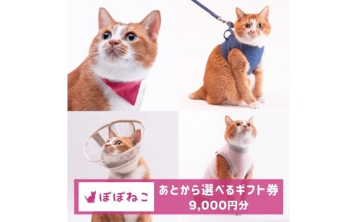 ぽぽねこギフト券（Eメールタイプ）9,000円分「共通返礼品」 デジタル商品券 オンラインショップ 電子マネー 猫 ネコ