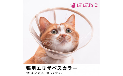 ぽぽねこ ギフト券 15,000円分（封筒タイプ） 商品券 オンラインショップ 猫 ネコ