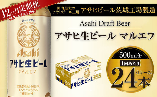 【12ヶ月定期便】アサヒ 生ビール マルエフ 500ml缶 24本 1ケース×12ヶ月