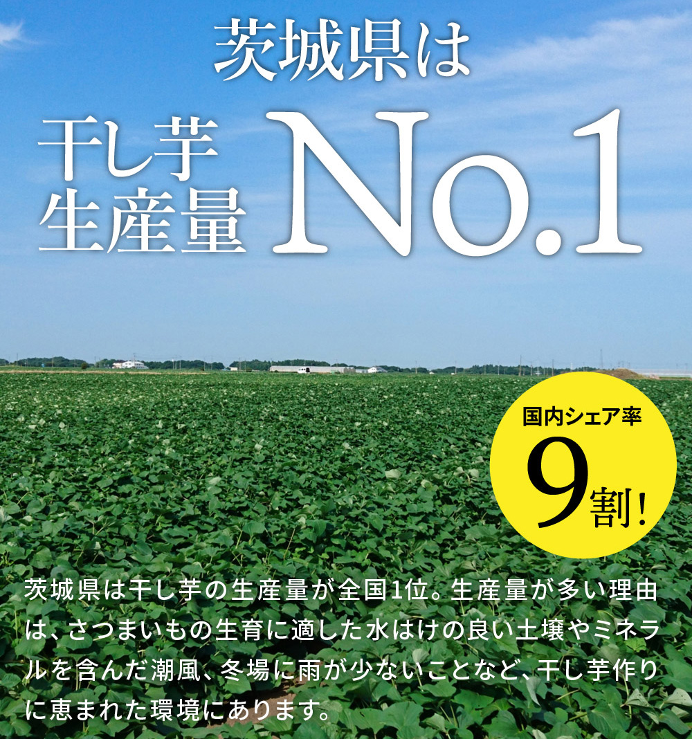 【予約販売】【定期便 4ヶ月】平干し 食べ比べセット（100g×4袋） ※2026年2月以降より順次発送予定