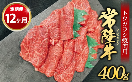 【定期便 12ヶ月】【希少部位】常陸牛トウガラシ焼肉用400g（茨城県共通返礼品 茨城県産）