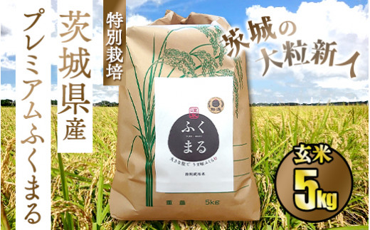 ☆茨城の大粒新人 プレミアムふくまる特別栽培米 5kg【玄米】