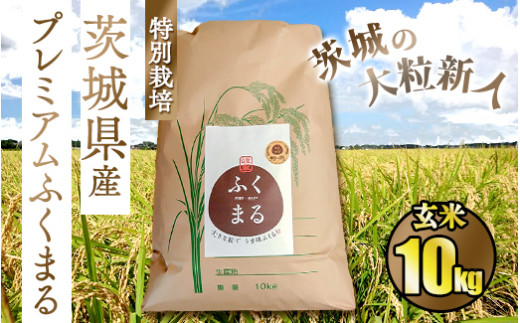 ☆茨城の大粒新人 プレミアムふくまる特別栽培米10kg【玄米】