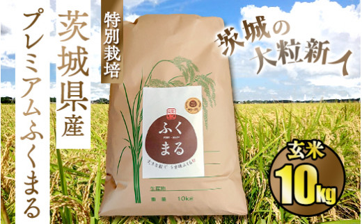 ☆茨城の大粒新人 プレミアムふくまる特別栽培米10kg【玄米】◇