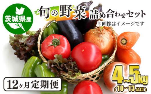 【定期便】 旬の野菜詰め合わせセット 毎月12ヶ月