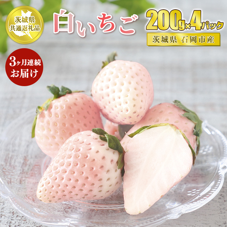 【定期便3ヶ月】白いちご 200g×4パック【茨城県共通返礼品 石岡市】※2025年1月上旬～3月下旬頃に順次発送予定