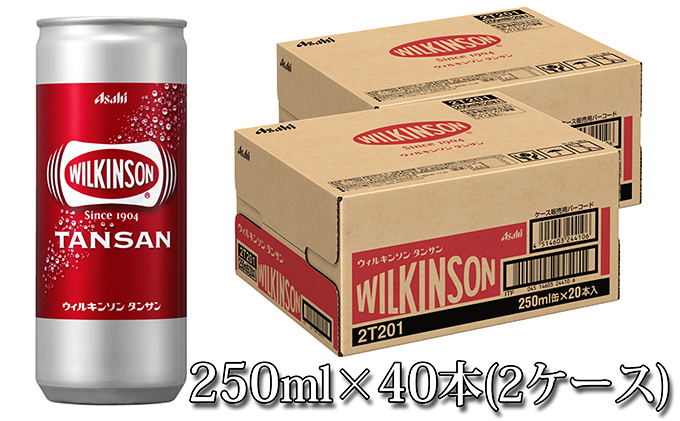 人気炭酸水ウィルキンソン250ml×40本（2ケース）