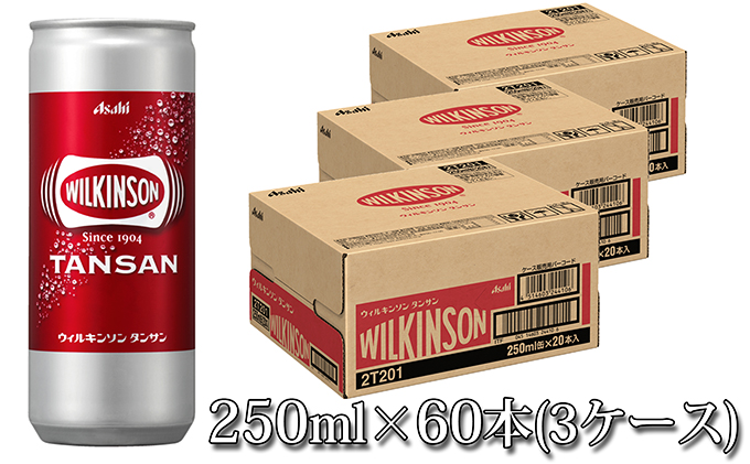 人気炭酸水ウィルキンソン250ml×60本（3ケース）