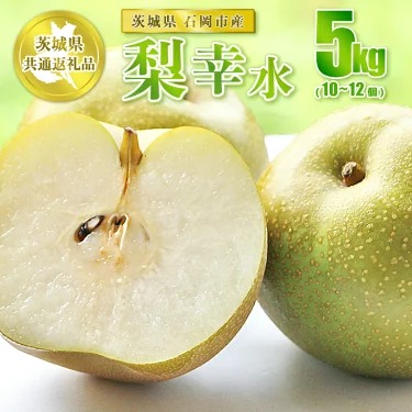 幸水 5kg 10～12個【茨城県共通返礼品 石岡市】※2025年8月～8月下旬頃に順次発送予定