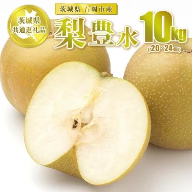 豊水 10kg 20～24個【茨城県共通返礼品 石岡市】 ※2025年9月～9月下旬頃に順次発送予定