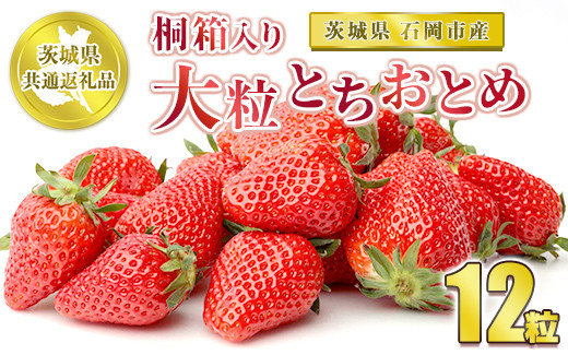 桐箱入り 大粒とちおとめ 12粒【茨城県共通返礼品 石岡市】 ※2025年12月上旬～中旬頃に順次発送予定