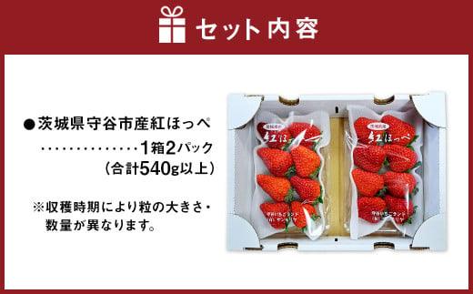 紅ほっぺ 1箱 2パック（合計540g以上） ※2025年1月上旬～4月下旬頃に順次発送 | いちご 苺 フルーツ 果物 くだもの 果実 完熟 冷蔵 守谷市産 茨城県 守谷市