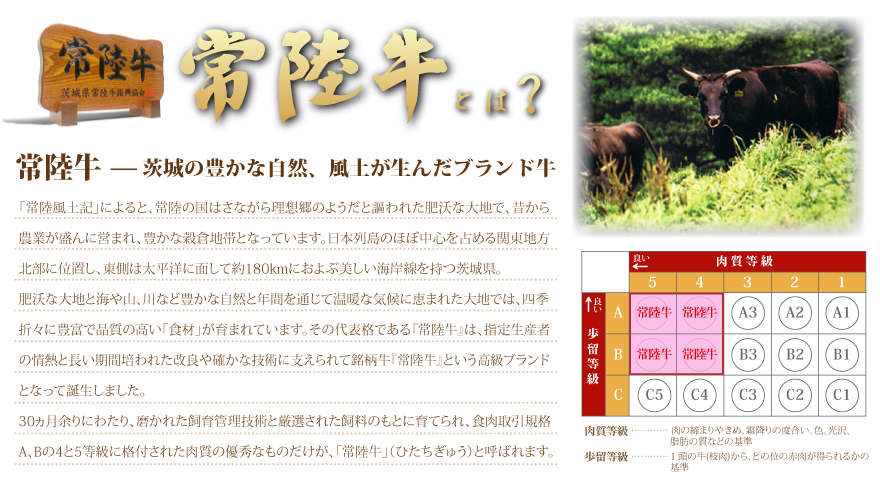 常陸牛リブロースしゃぶしゃぶ 500g アウトドア お肉 肉 ロース リブロース 霜降 霜降り 牛肉 しゃぶしゃぶ 和牛 黒毛和牛 ブランド 常陸牛 お取り寄せ 冷凍 茨城県 守谷市