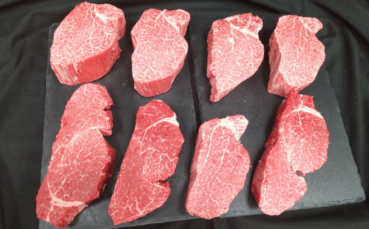 【常陸牛】ヒレステーキ 250g×8枚 | 計2kg 牛肉 肉 お肉 ヒレ ステーキ 冷凍 茨城県 守谷市