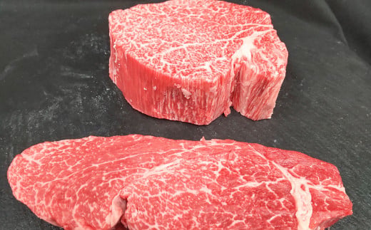 【常陸牛特選A5】ヒレステーキ250g×2枚 | 計500g 牛肉 肉 お肉 ヒレ ステーキ 冷凍 茨城県 守谷市