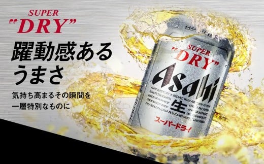 【10ヶ月定期便】アサヒ スーパードライ（合計240本）500ml×毎月1ケース（24本）=計10回お届け | アサヒビール 酒 お酒 ドライ 缶ビール 缶 ギフト 内祝い 茨城県 守谷市 みらい mirai