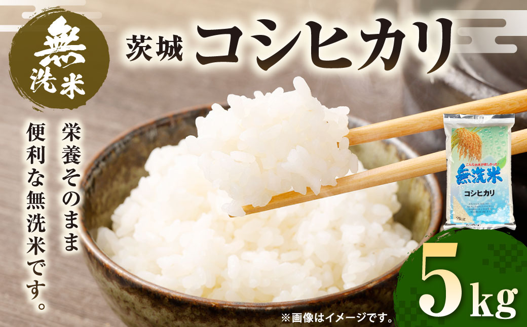 【無洗米】令和7年産茨城コシヒカリ 5kg