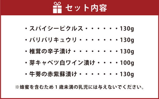 【2ヶ月定期便】なごみやお試しセット 5種 合計620g セット ピクルス きゅうり 椎茸 芽キャベツ 牛蒡 ゴボウ 漬物 漬け物 詰合せ 詰め合わせ 野菜 野菜漬け 茨城県 守谷市 送料無料