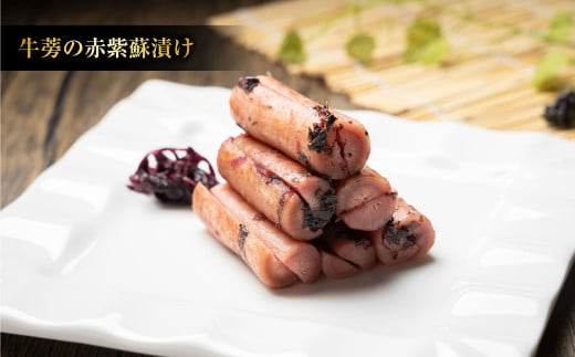 【3ヶ月定期便】なごみやお試しセット 5種 合計620g セット ピクルス きゅうり 椎茸 芽キャベツ 牛蒡 ゴボウ 漬物 漬け物 詰合せ 詰め合わせ 野菜 野菜漬け 茨城県 守谷市 送料無料