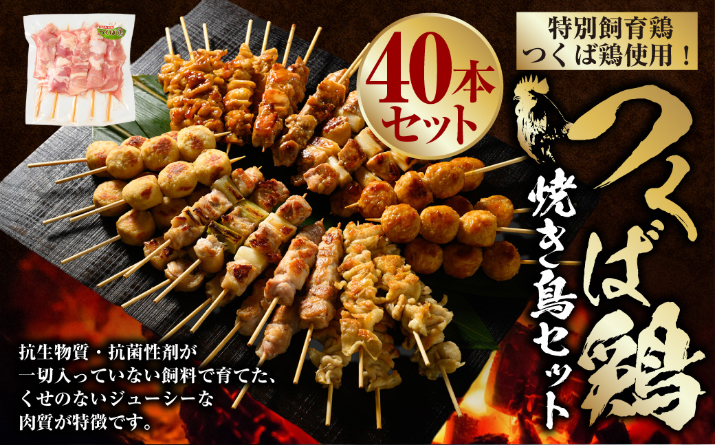 つくば鶏 焼き鳥セット 40本 焼き鳥 焼鳥 もも肉 ネギま ネギ間 鶏皮 つくね 串 串焼き 茨城県 守谷市