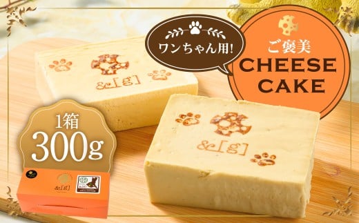 ワンちゃん用！ご褒美 cheese cake | ペット デザート スイーツ お菓子 洋菓子 菓子 冷凍 犬 ドッグ dog チーズケーキ チーズ ケーキ