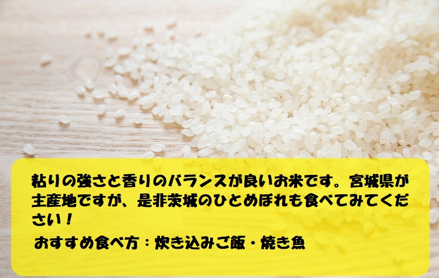 令和7年産 茨城ひとめぼれ 10kg 5kg×2袋 ひとめぼれ 白米 精米 ごはん お米 国産 茨城県産 守谷市 送料無料