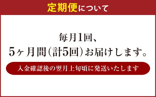 【 5ヶ月定期便 】 アサヒ ザ・リッチ 350ml 24本 2ケース | お酒 酒 アルコール ビール 発泡酒 缶ビール 缶 晩酌 定期 定期配送 贅沢 旨味 香り コク