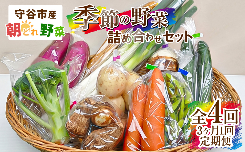 【定期便 4回】【3ヶ月に1回お届け】守谷市産 旬の野菜セット | 野菜 やさい 野菜セット 旬 国産 茨城県産 セット 詰め合わせ 定期 定期配送 冷蔵
