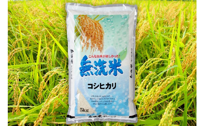 令和2年産茨城コシヒカリ無洗米5kg　（米）
