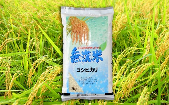 令和2年産茨城コシヒカリ無洗米2kg　（米）