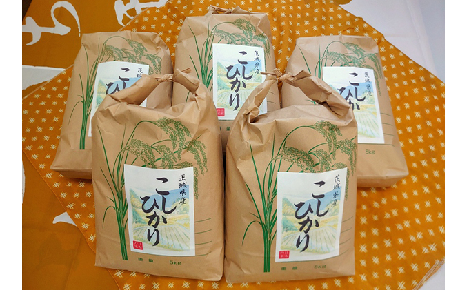 【5kg×5】☆生産農家直接仕入れ米 令和二年産 茨城コシヒカリ25kg【玄米発送】