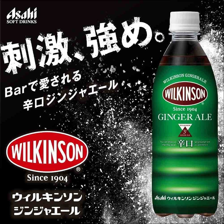 ふるさと納税 富士吉田市 ウィルキンソン タンサン ペットボトル 500ml