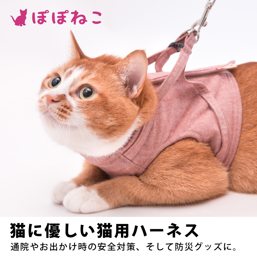 高い素材 猫首輪 お出かけピンク cerkafor.com
